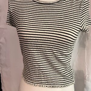 American Eagle Outfitters Black and White Striped Crop Top